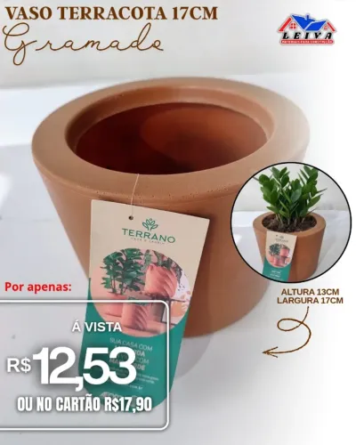 Vaso de Planta