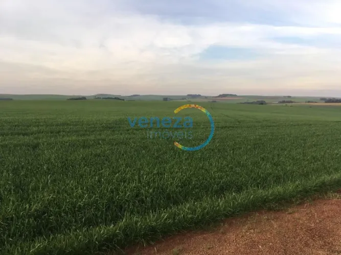Chácara-Imóvel-Rural com 1 quarto à venda por R$ 4500000.00, 302500.00 m2 - NOVA AMOREIRA 