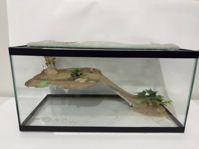 Terrário com plataforma decorada novo vidro com tampas