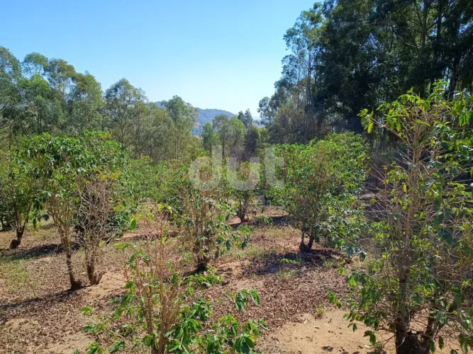 Sítio à Venda em Monte Sião/MG | Natureza, Encanto e Potencial
