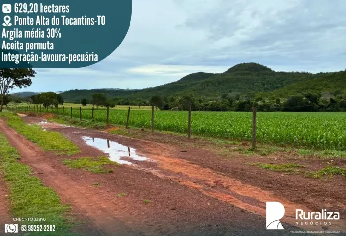 190 ALQUEIRES | 750 HA AGRICULTÁVEIS | 15 ANOS DE AGRICULTURA