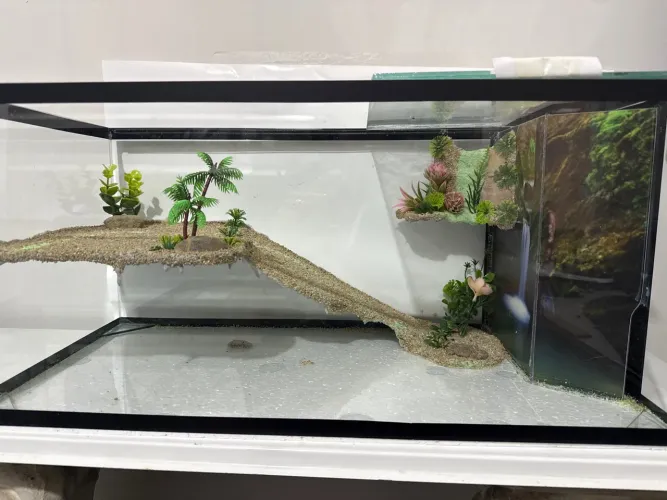 Aquaterrario terrário novo decorado sump de filtragem e cascata de água