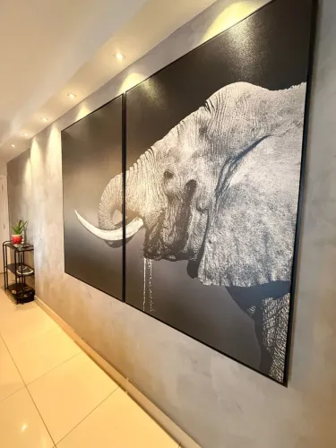 Quadros Elefante Gigantes
