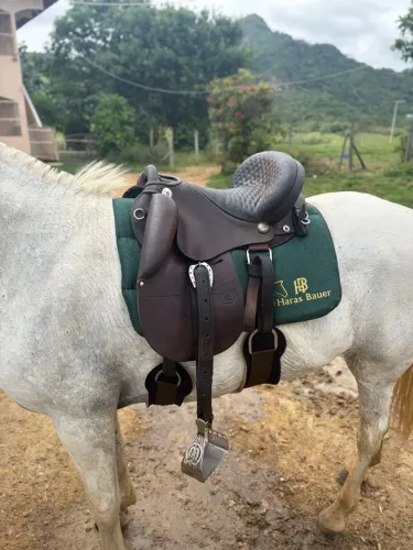 Sela disponível 