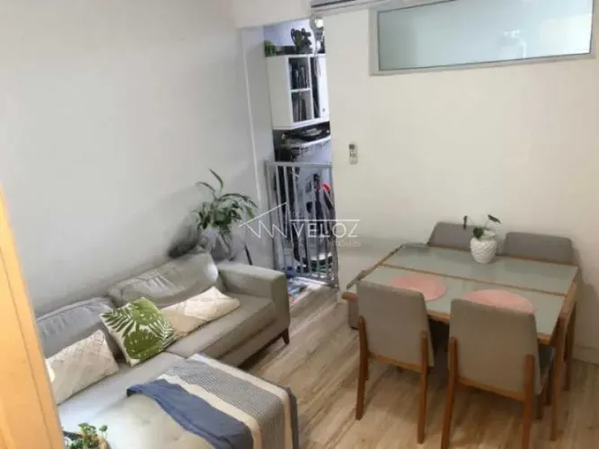 Apartamento : / Residencial / Botafogo