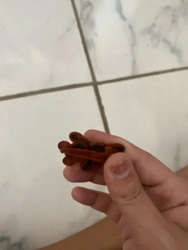 Grampo de urso aveludado, totalmente novo nunca usado.