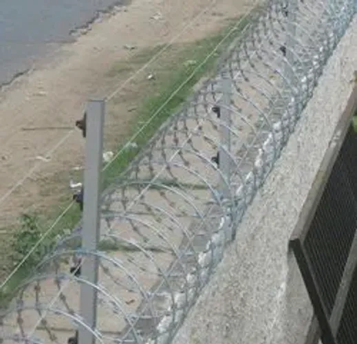 Concertina ,câmeras e cerca elétrica