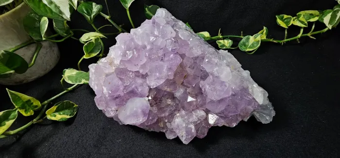 Drusa de Ametista Lavanda x Ametista Uruguaia