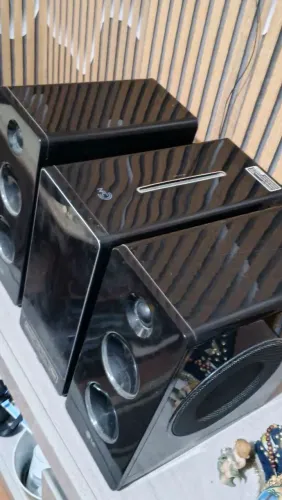 Microsystem LG