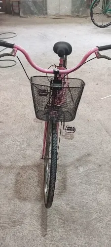 Bicicleta Caloi Ceci