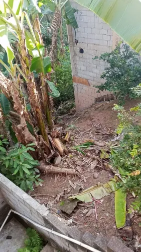 Roçagem de terreno com roçadeira e podas 