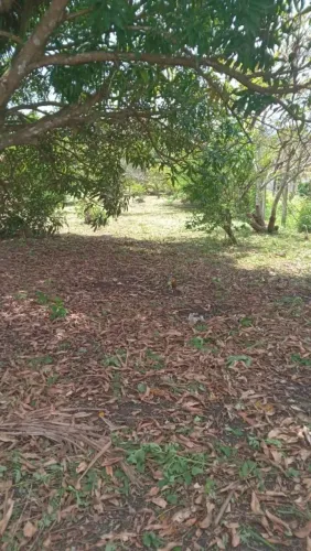 Vendo terreno