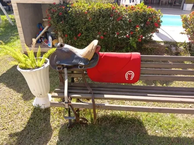 Vende-se um cavalo com sela