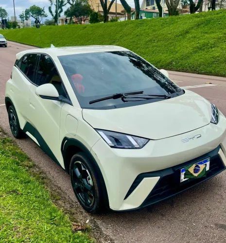 BYD Dolphin Mini (Elétrico) 2024