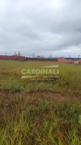 Terreno Padrão em São Carlos