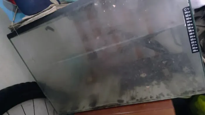 Aquário 100 litros Grajaú