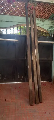 Pinho de Riga,pernas