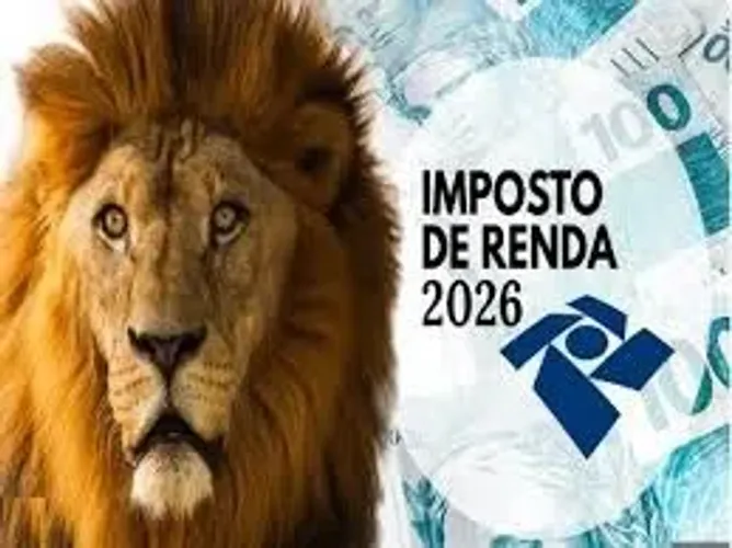 Faço sua declaração de Imposto de Renda por R$ 120,00