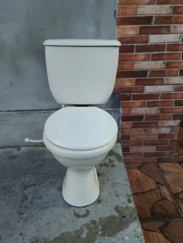 Vendo este vaso sanitário completo