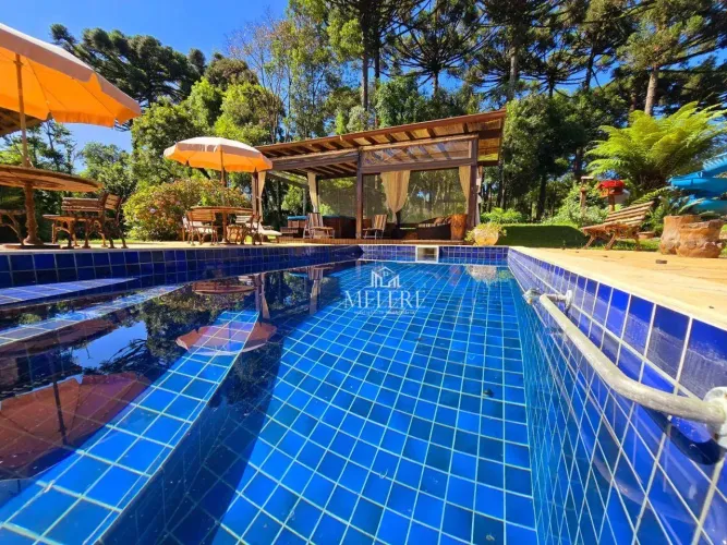 Chácara com 6 dormitórios à venda, 25000 m² por R$ 6.900.000,00 - Planta Maria Clara - Alm