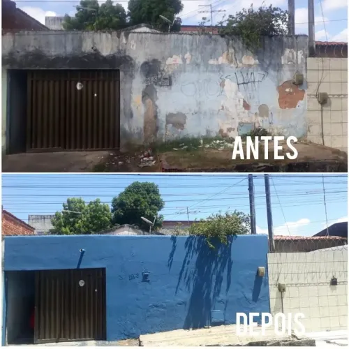 Pintor profissional