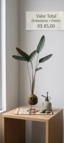 KOKEDAMAS 