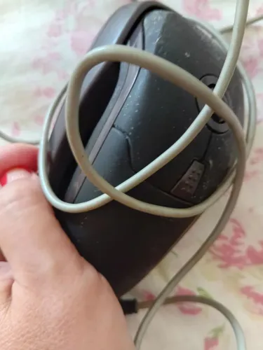 Mouse 