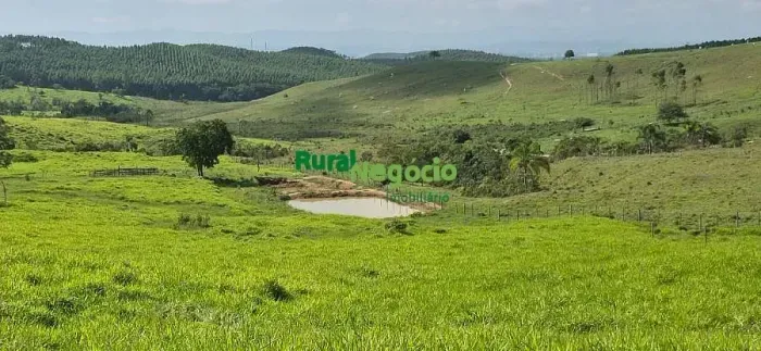 TERRENO RURAL DE TOPOGRAFIA BAIXA COM 2 HECTARES EM LORENA-SP