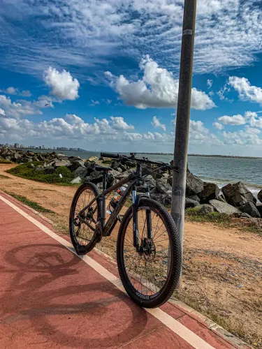 Bicicleta Aro 29