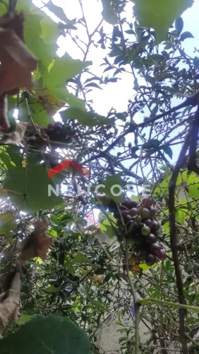 Casa de Vila em Deucleciano dos Santos - Loteamento Chácaras Avai - Embu-Guaçu/SP