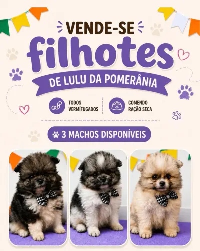 Vende se Lulu dá pomerânia