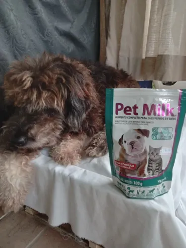 Alimento completo Pet Milk cães e gatos leite materno filhotes