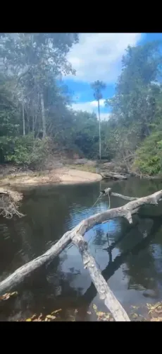 Chacara em varjão com corrego