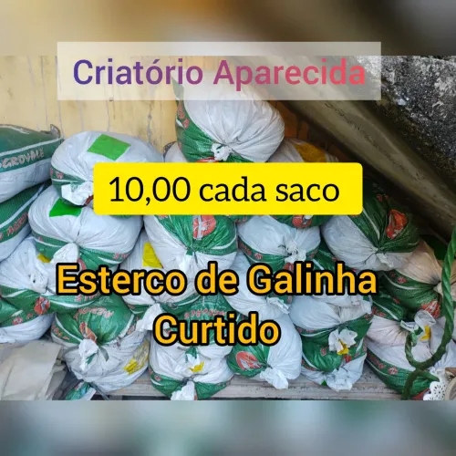 Esterco de Galinha curtido