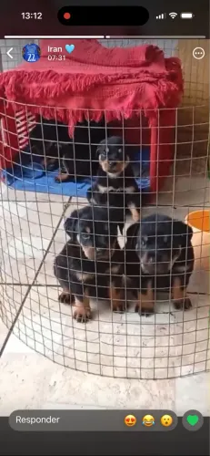 Vendo