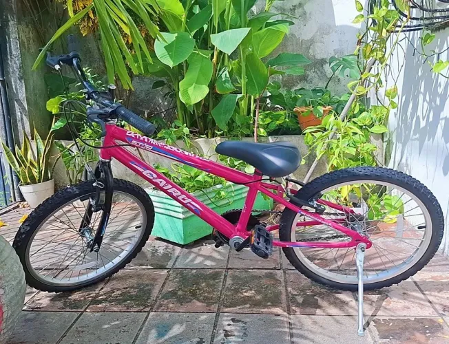 Bicicleta Rosa Aro 20