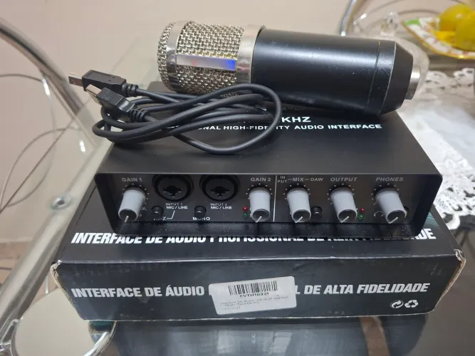 Interface de audio teyun  Q- 24 + microfone bm800
