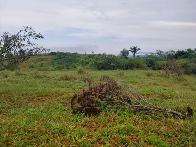 Fazenda à venda próximo A Parauapebas