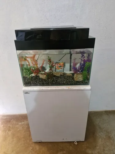 Aquário 72L completo