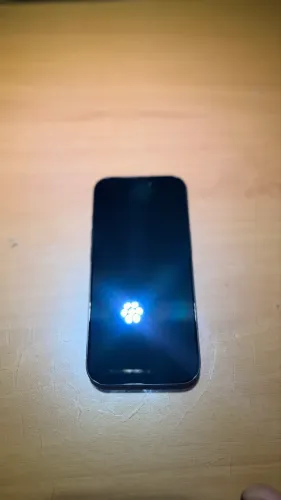 IPHONE 16 PRO 256GB