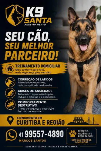 Adestrador de cães