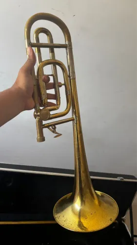 Trombone tenor Dolphin