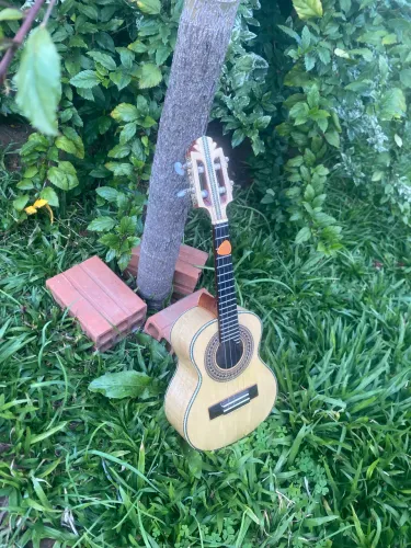 Cavaco Anderson Luthier em faia 2023
