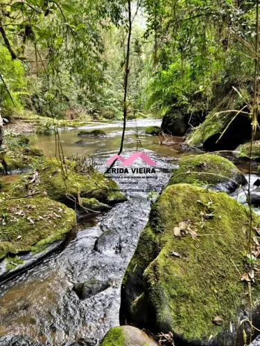 Lindo Sítio localizado na Serra da Bocaina em Bananal-SP