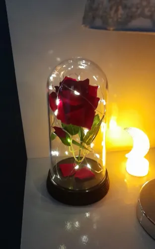 Rosa Encantada com Luzes LED