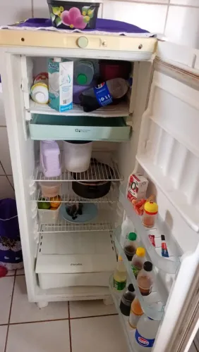 Geladeira esmaltec gelo Normal Zn Potengi 