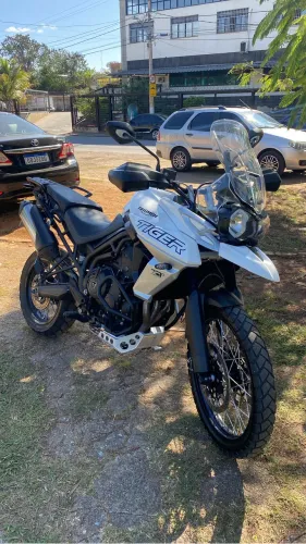 Tiger 800 XCX 