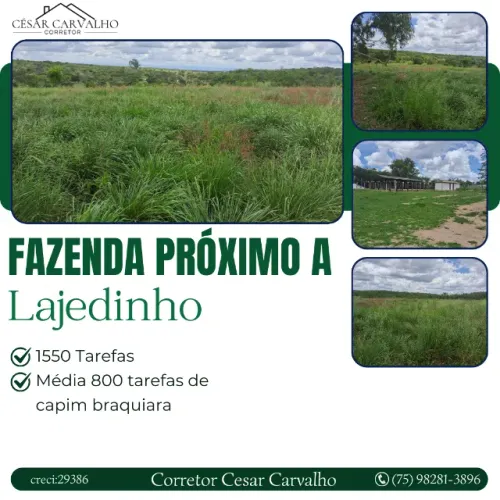FAZENDA PRÓXIMO A LAJEDINHO - 1550 TAREFAS