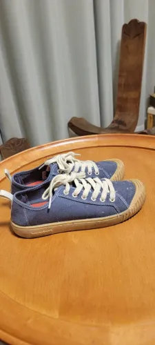 tênis havaianas tns canvas roots 36