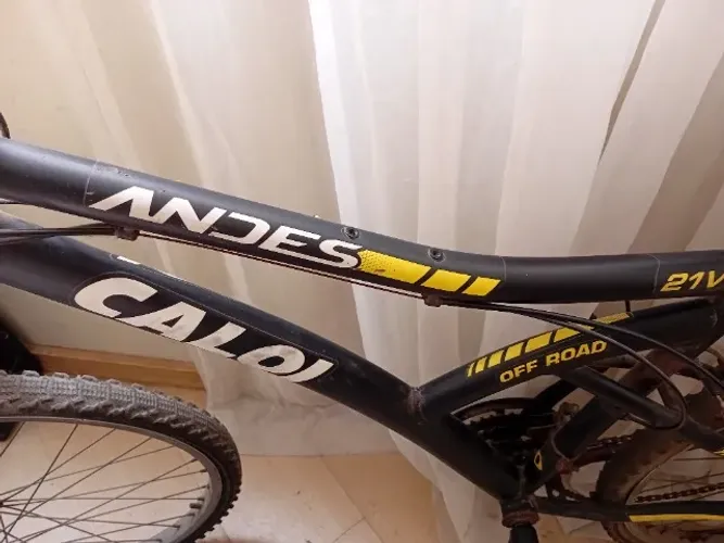 Bicicleta Andes Caloi